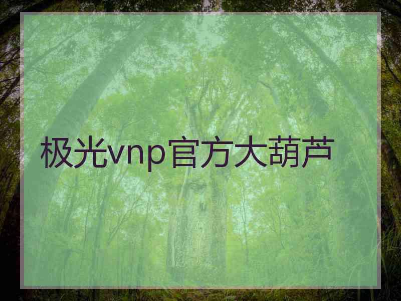 极光vnp官方大葫芦