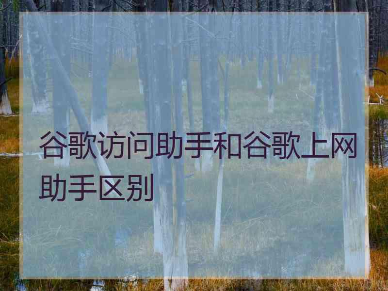 谷歌访问助手和谷歌上网助手区别