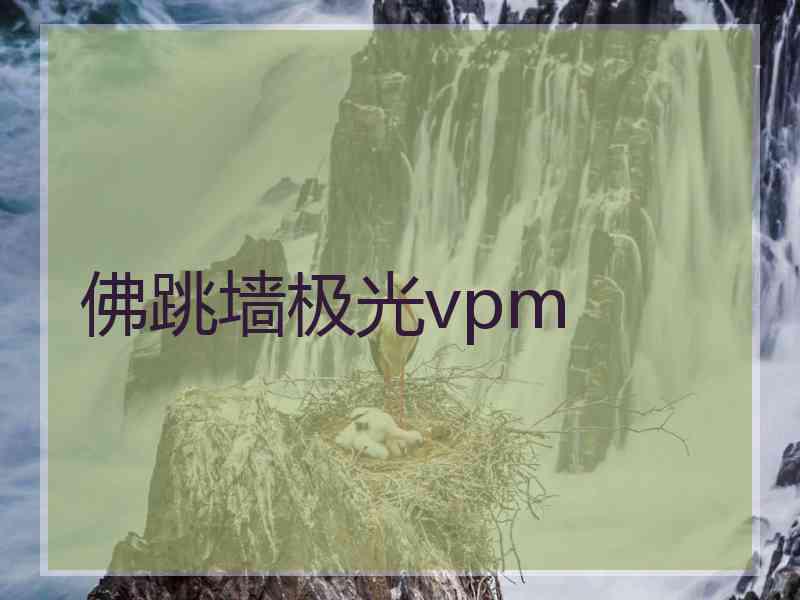 佛跳墙极光vpm