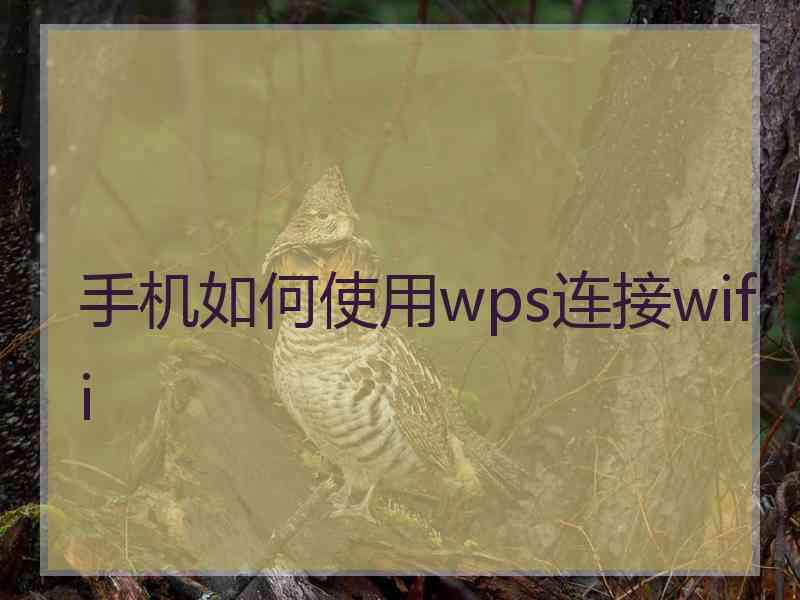 手机如何使用wps连接wifi