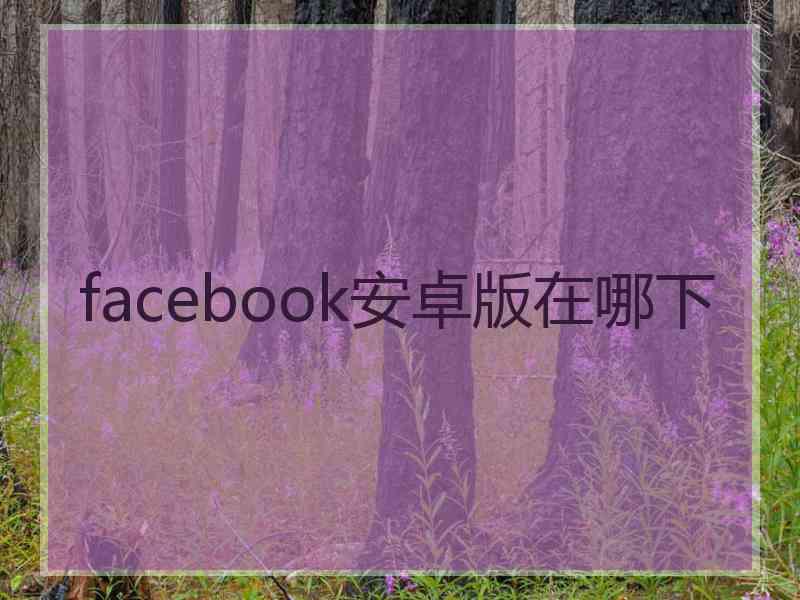 facebook安卓版在哪下