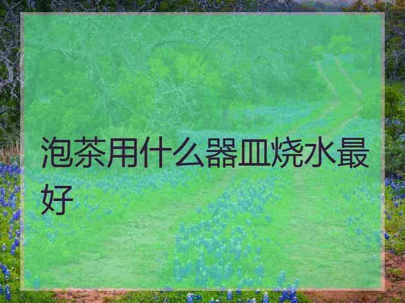 泡茶用什么器皿烧水最好