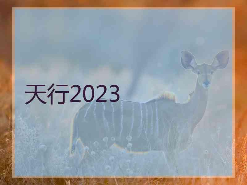 天行2023