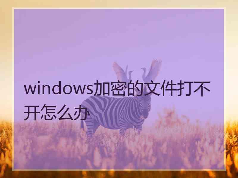 windows加密的文件打不开怎么办