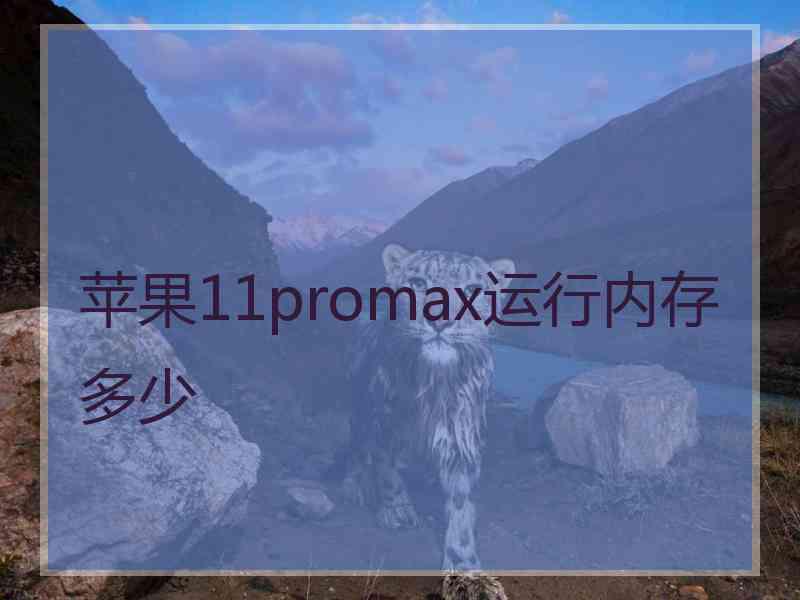 苹果11promax运行内存多少