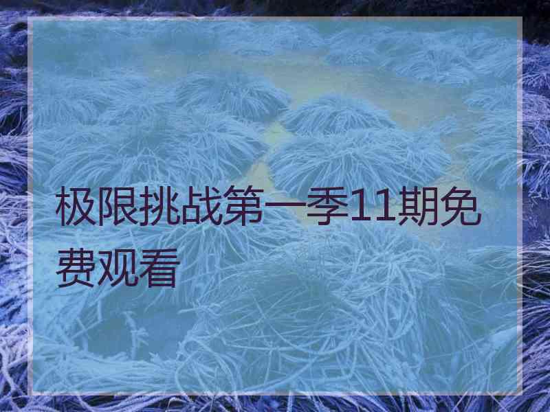 极限挑战第一季11期免费观看