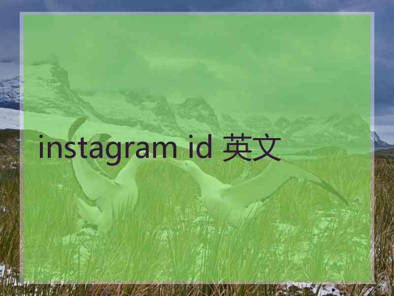 instagram id 英文