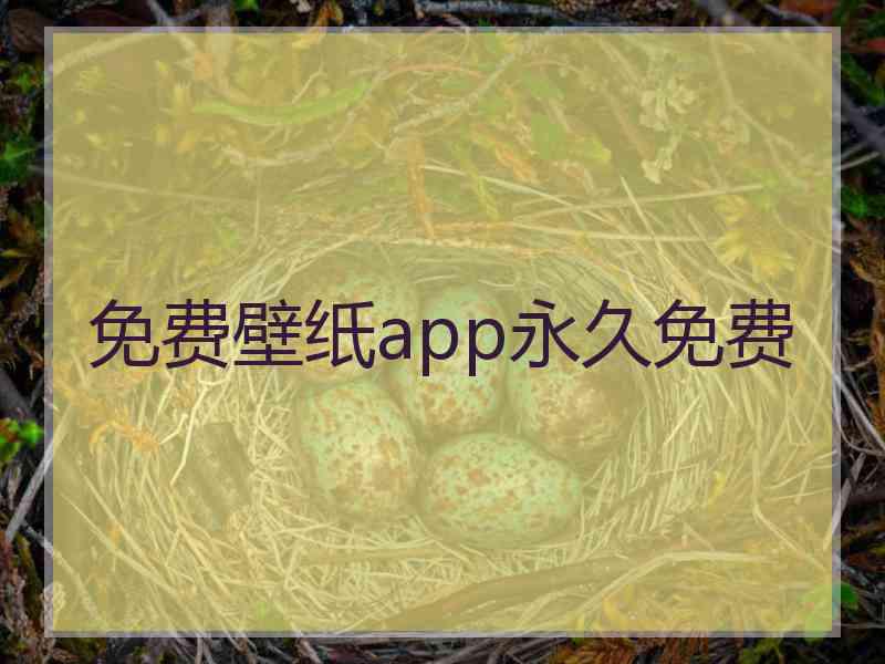 免费壁纸app永久免费