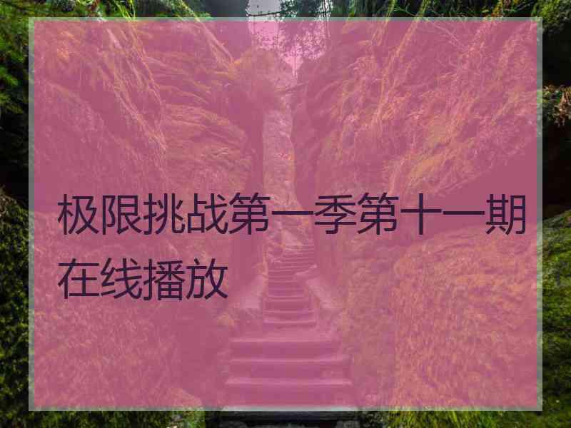 极限挑战第一季第十一期在线播放