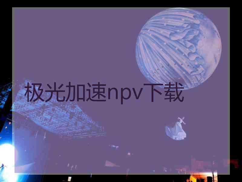 极光加速npv下载