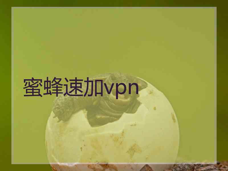 蜜蜂速加vpn