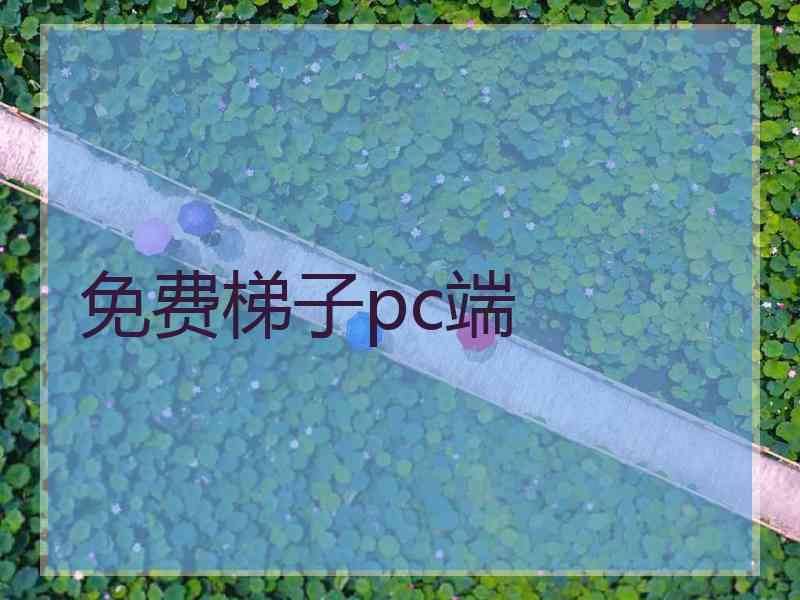 免费梯子pc端