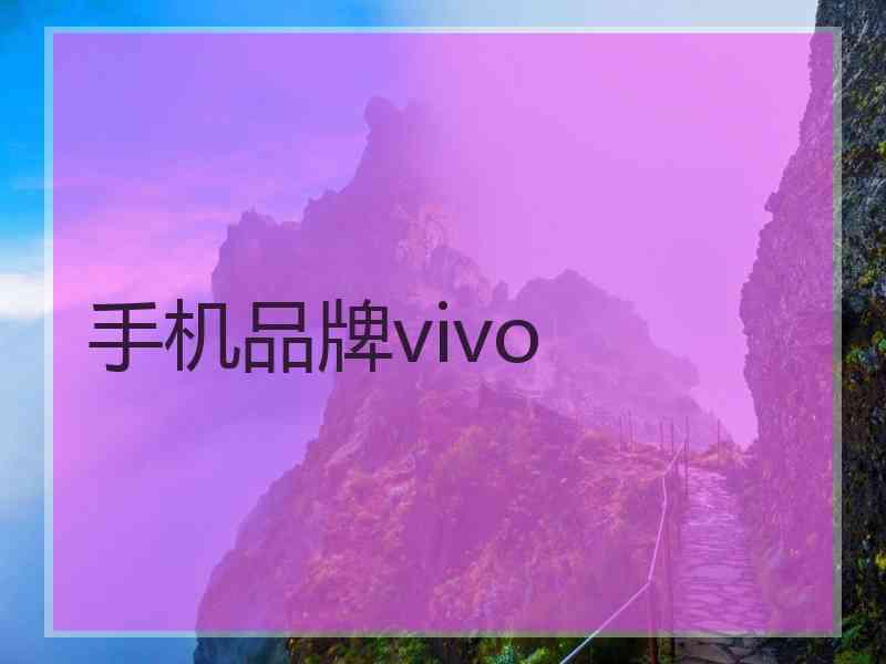 手机品牌vivo