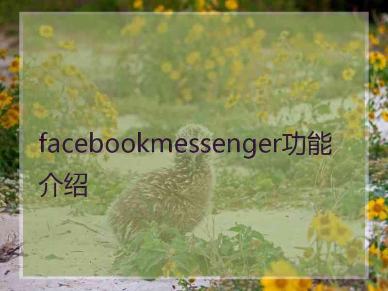 facebookmessenger功能介绍