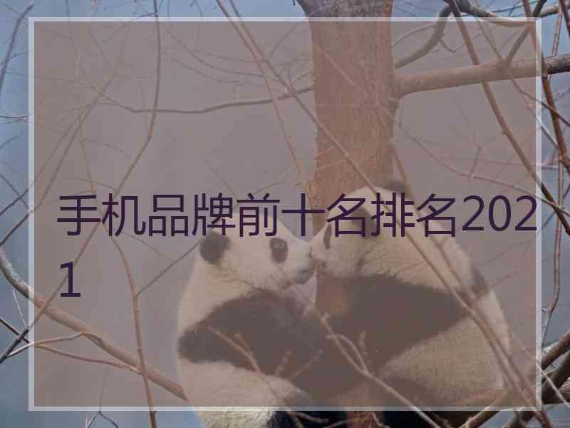 手机品牌前十名排名2021