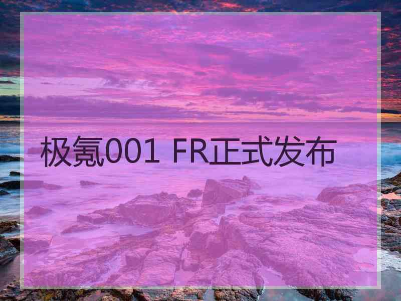 极氪001 FR正式发布