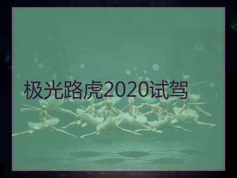 极光路虎2020试驾