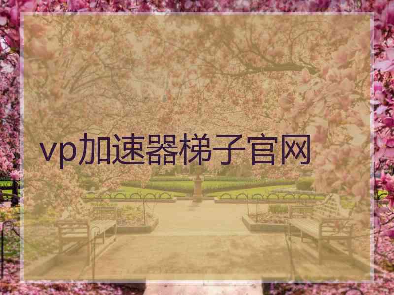 vp加速器梯子官网