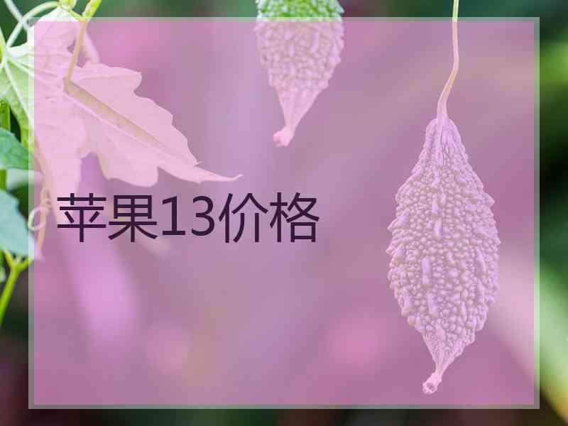 苹果13价格