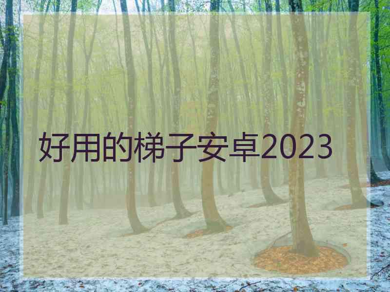 好用的梯子安卓2023