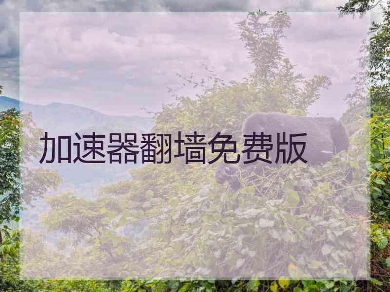 加速器翻墙免费版