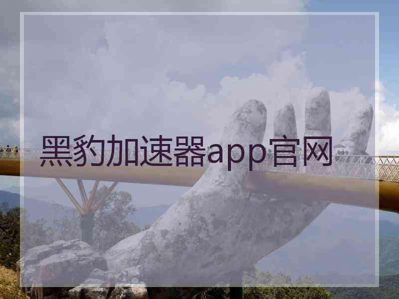 黑豹加速器app官网