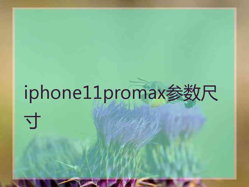 iphone11promax参数尺寸