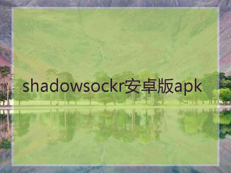 shadowsockr安卓版apk