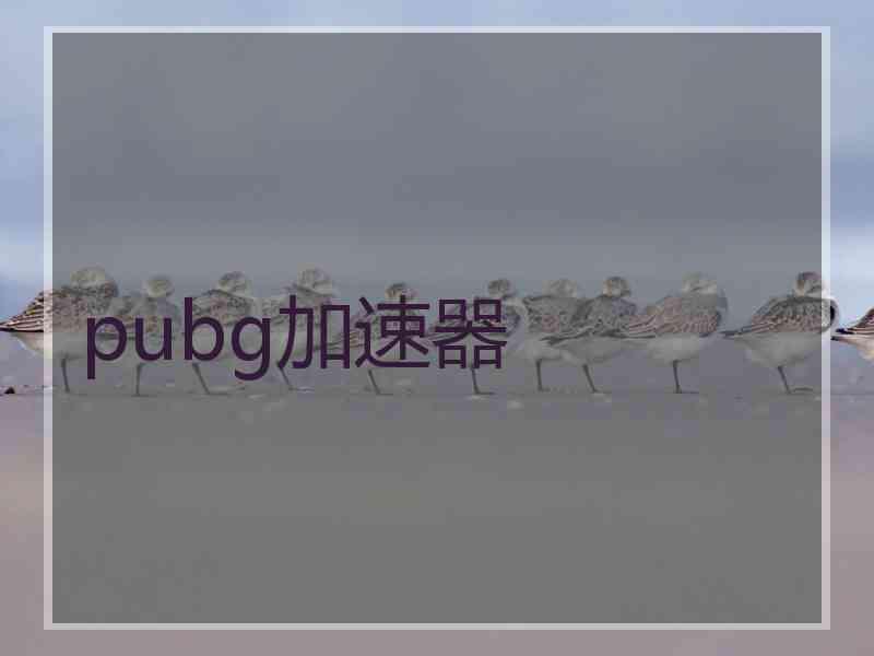 pubg加速器