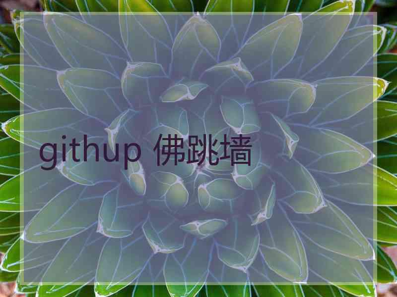 githup 佛跳墙