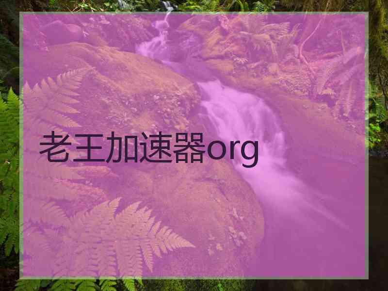 老王加速器org