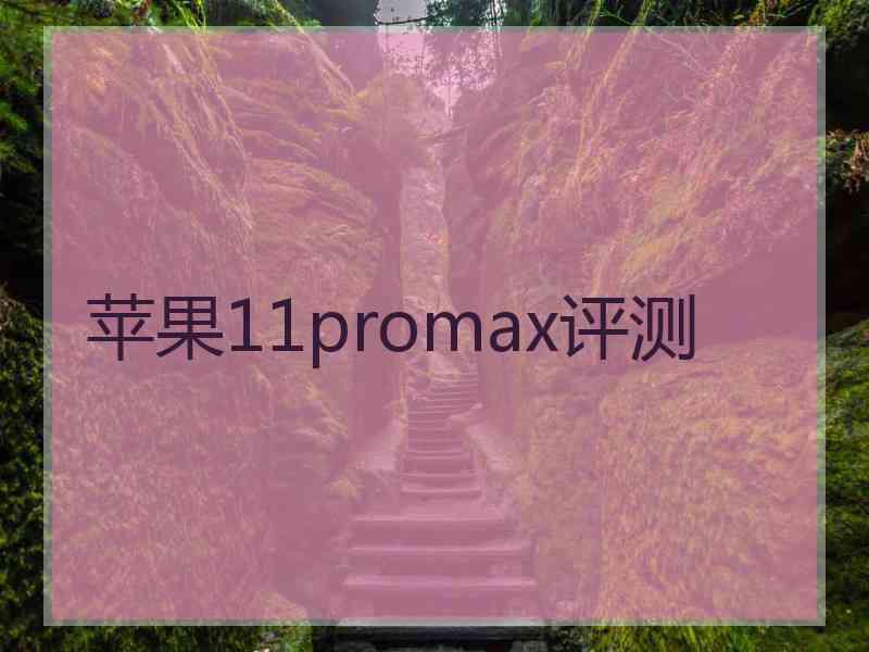 苹果11promax评测