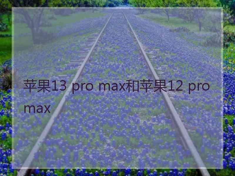 苹果13 pro max和苹果12 pro max