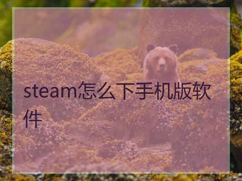 steam怎么下手机版软件