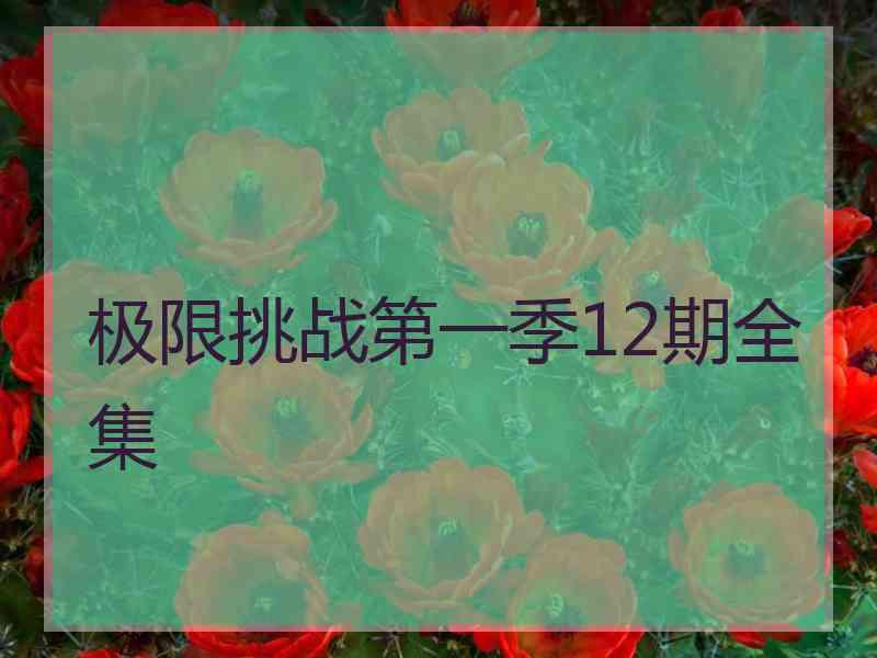 极限挑战第一季12期全集