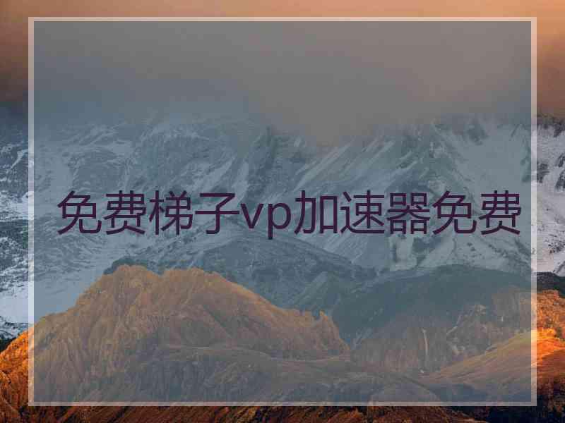 免费梯子vp加速器免费