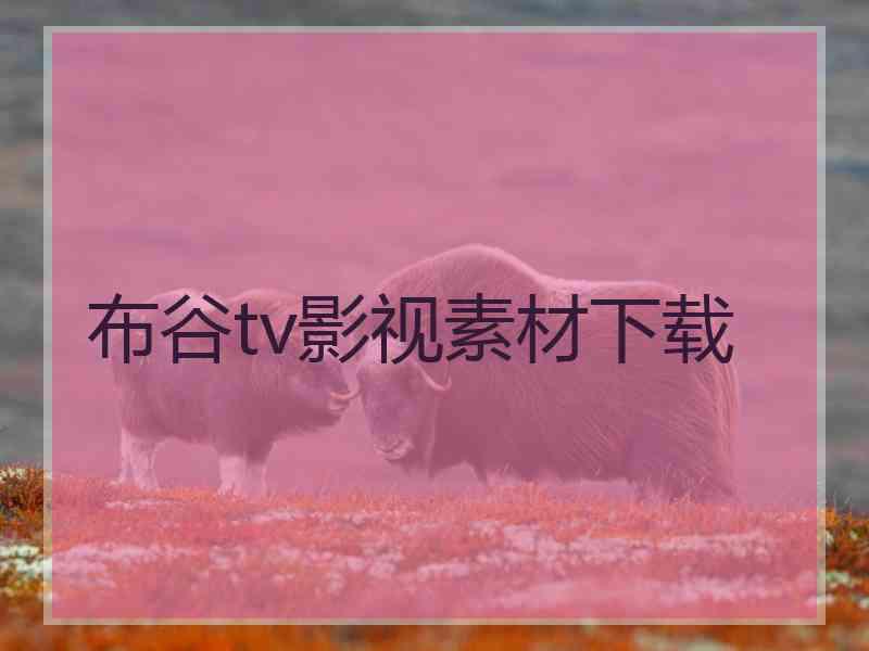 布谷tv影视素材下载