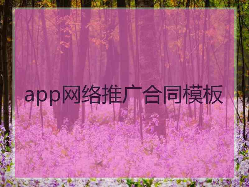 app网络推广合同模板