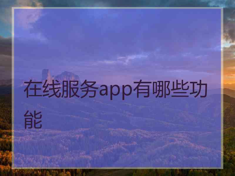 在线服务app有哪些功能