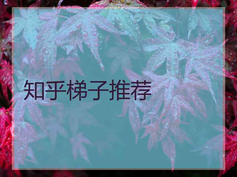 知乎梯子推荐