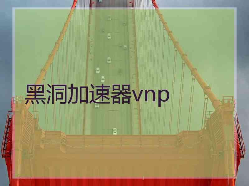 黑洞加速器vnp