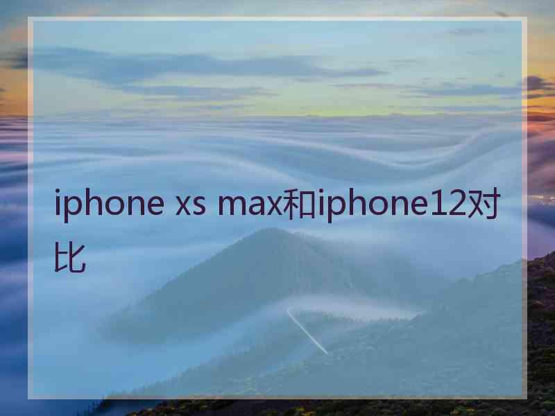 iphone xs max和iphone12对比