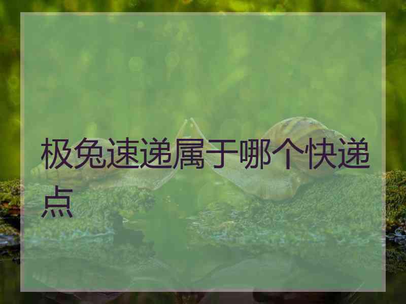 极兔速递属于哪个快递点