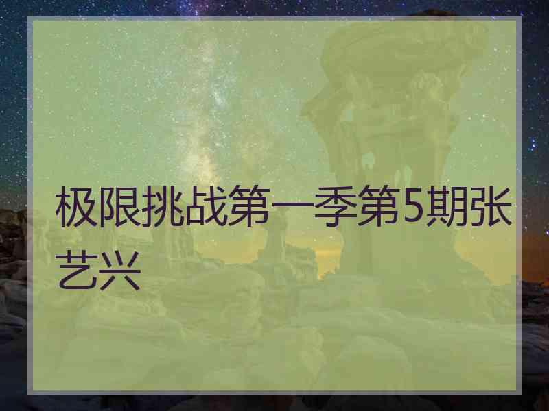 极限挑战第一季第5期张艺兴