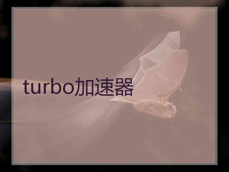 turbo加速器