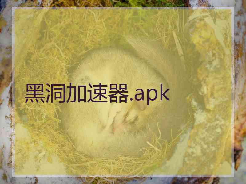 黑洞加速器.apk