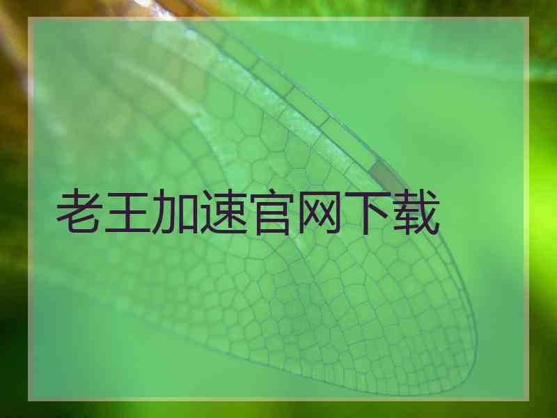 老王加速官网下载