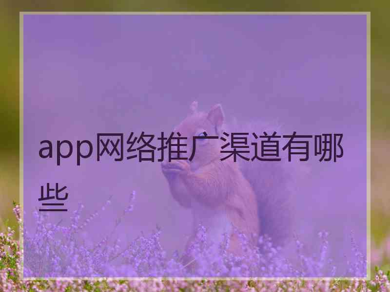 app网络推广渠道有哪些