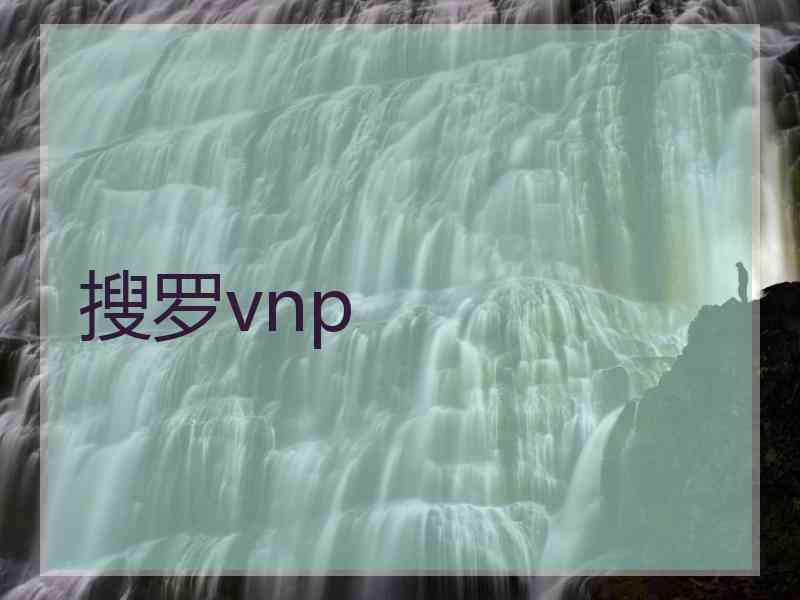 搜罗vnp