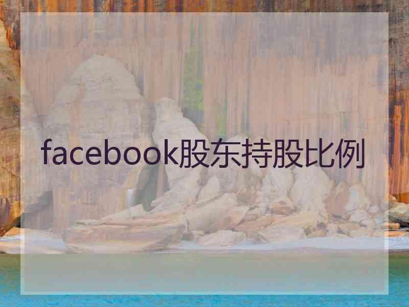 facebook股东持股比例